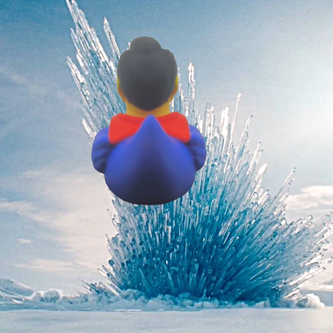 Superman duck