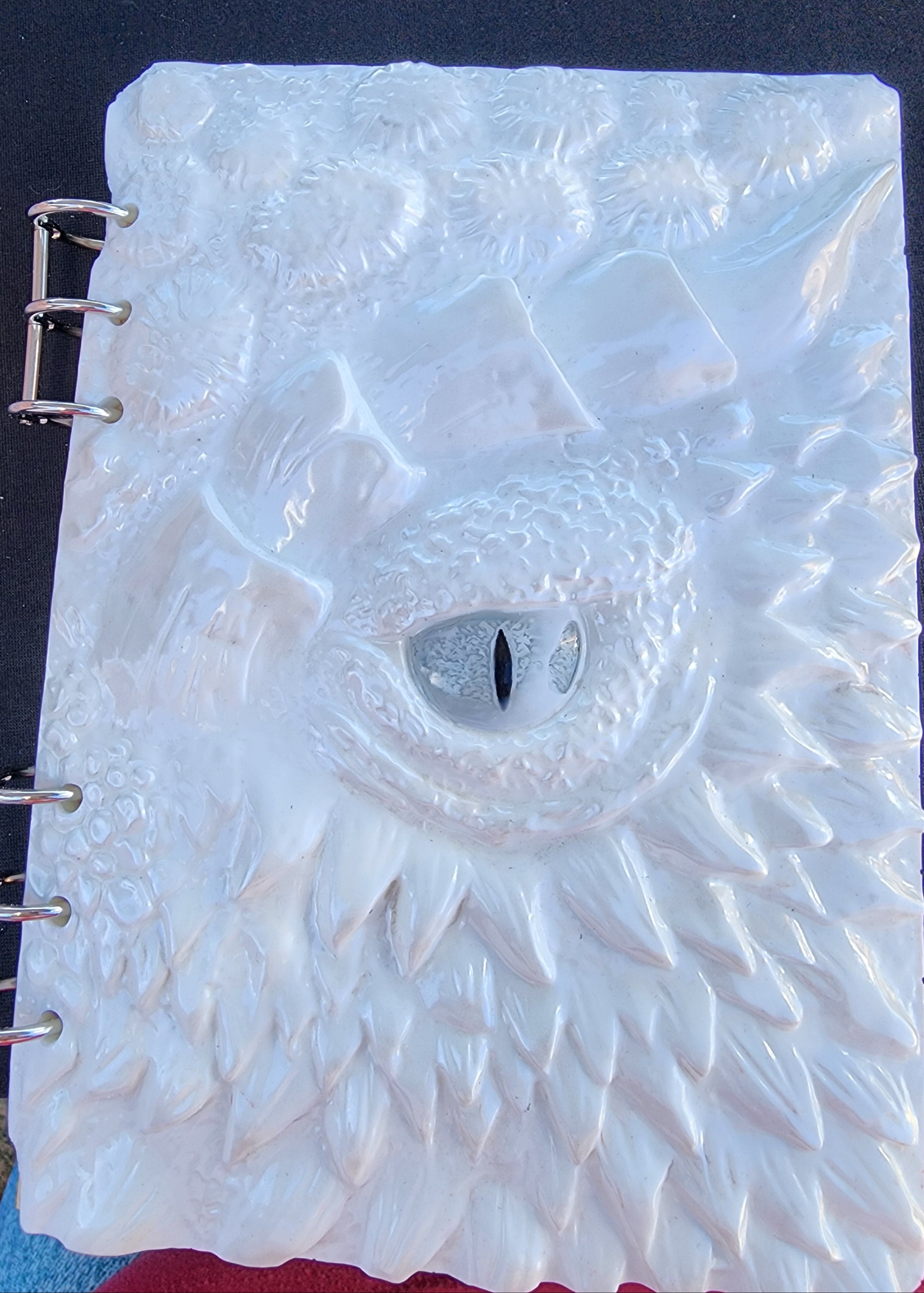 Dragon Notebook